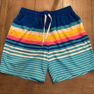 Chubbies The Newports Blue Stripe Swim Shorts